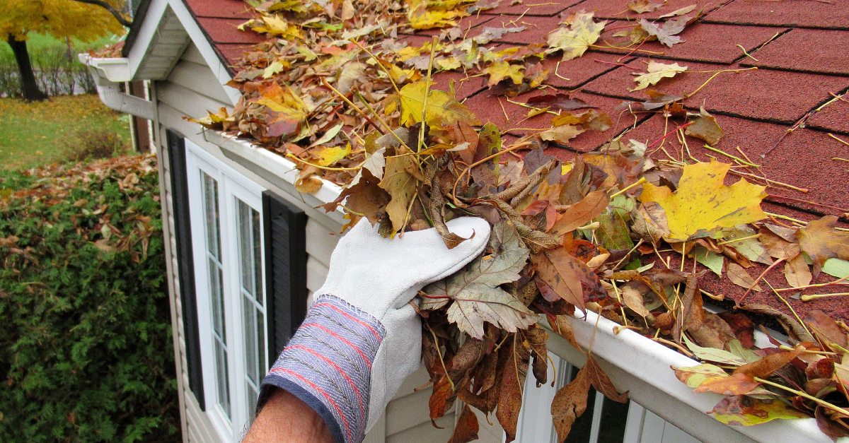 Fall Preparedness tips from HomePoint Insurance